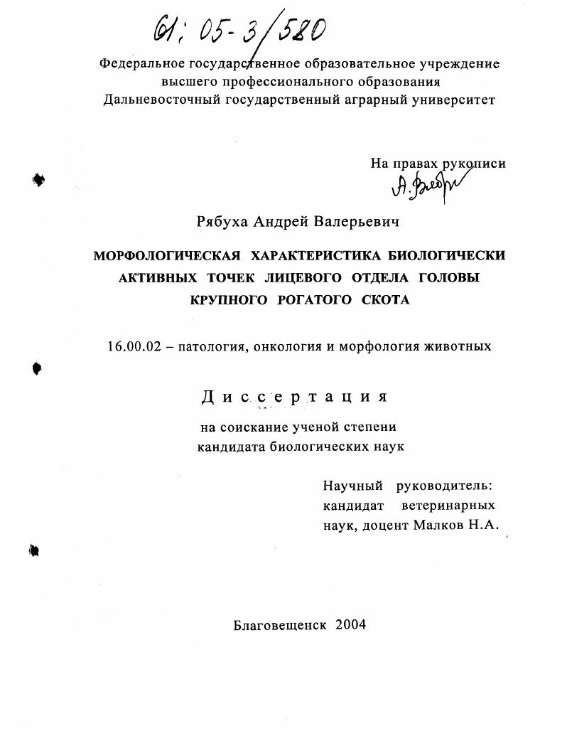 Морфологическая характеристика биологически активных точек лицевого отдела головы крупного рогатого скота