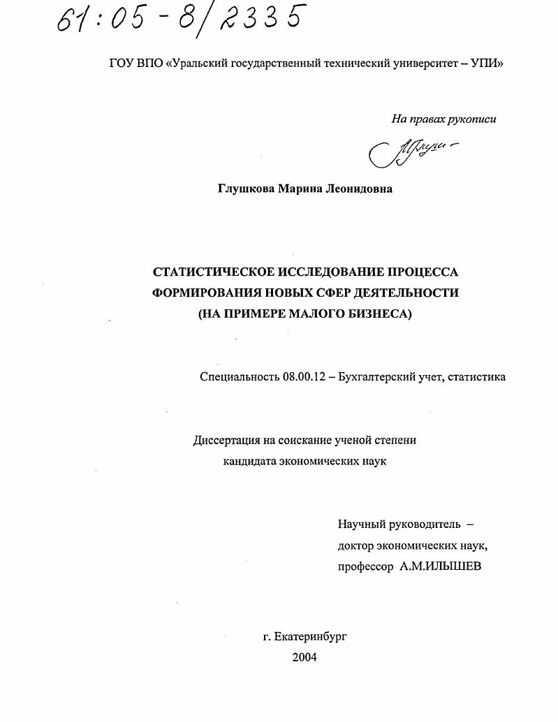 Статистическое исследование процесса формирования новых сфер деятельности : На примере малого бизнеса