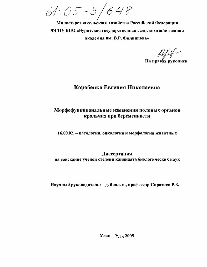 скачать диссертацию Морфофункциональные изменения половых органов крольчих при беременности Морфофункциональные изменения половых органов крольчих при беременности