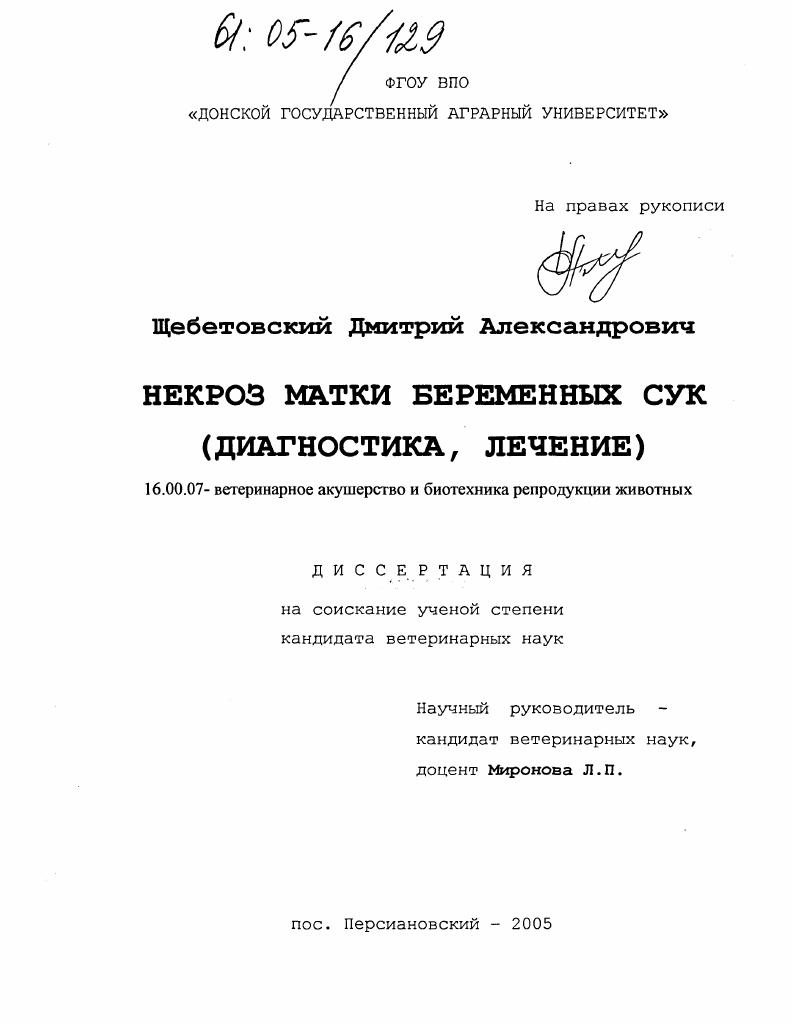 Некроз матки беременных сук : Диагностика, лечение