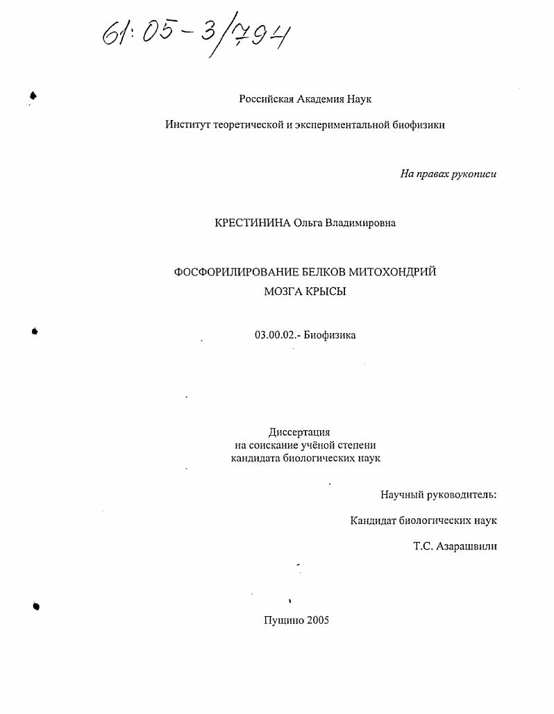 Фосфорилирование белков митохондрий мозга крысы