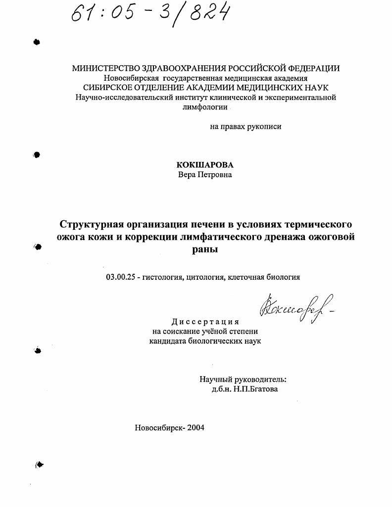 Структурная организация печени в условиях термического ожога кожи и коррекции лимфатического дренажа ожоговой раны