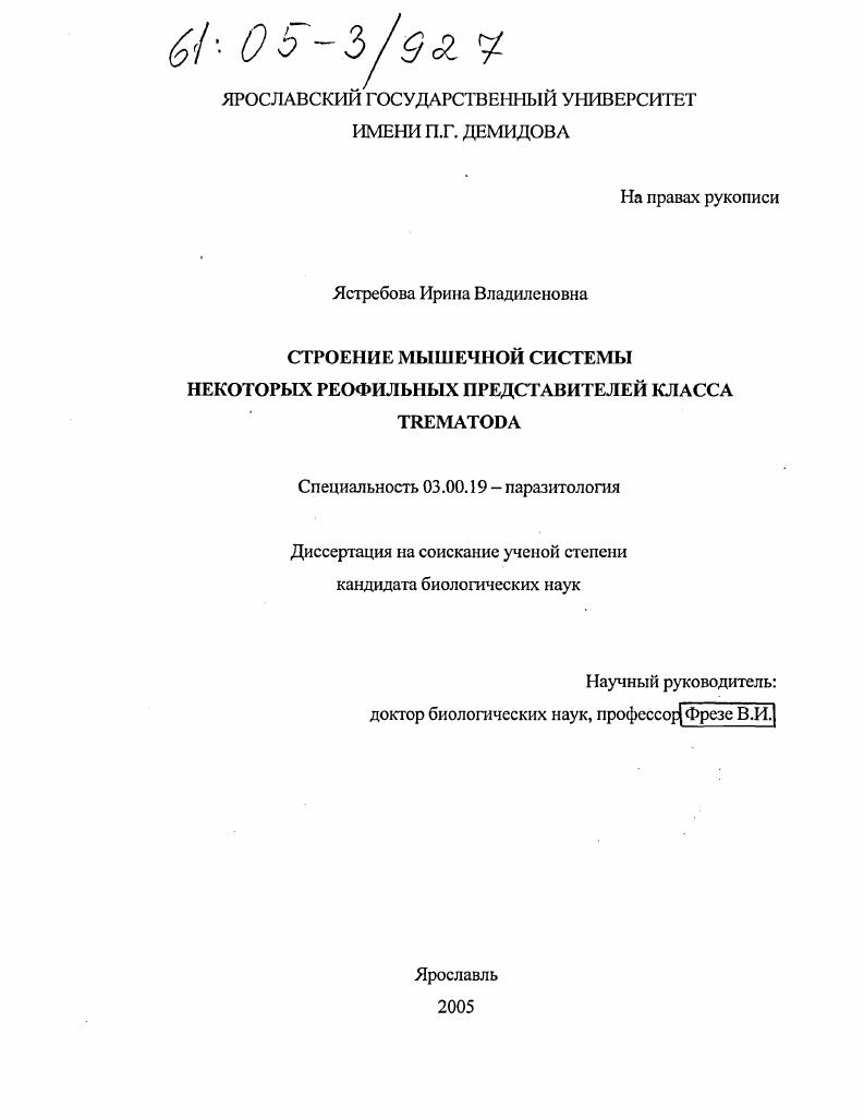 Мышечная система некоторых реофильных представителей класса Trematoda