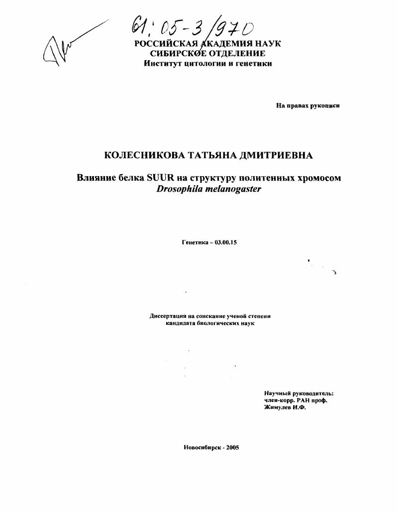 Влияние белка SUUR на структуру политенных хромосом Drosophila melanogaster