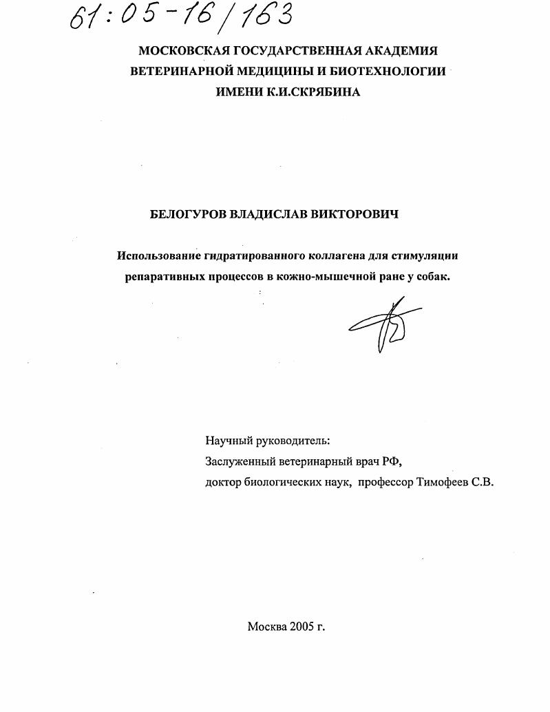 Использование гидратированного коллагена для стимуляции репаративных процессов в кожно-мышечной ране у собак
