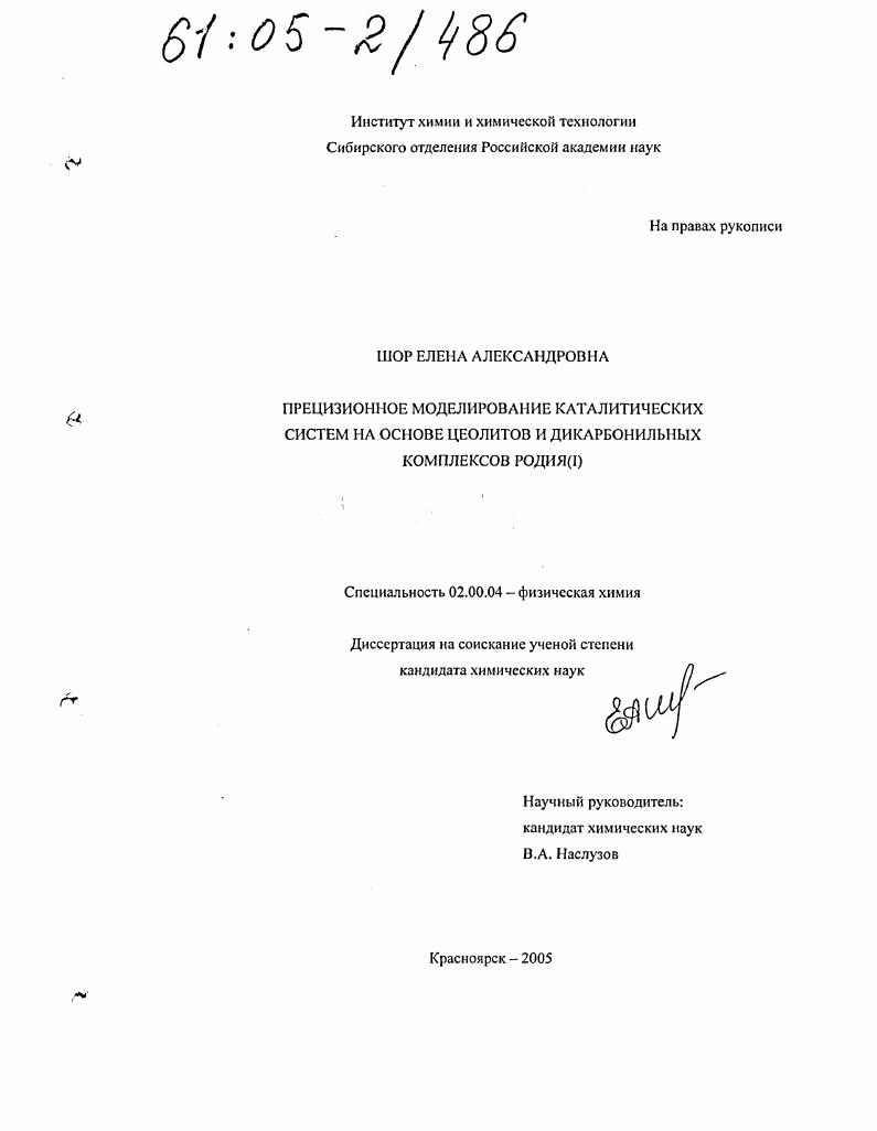 Прецизионное моделирование каталитических систем на основе цеолитов и дикарбонильных комплексов родия (I)