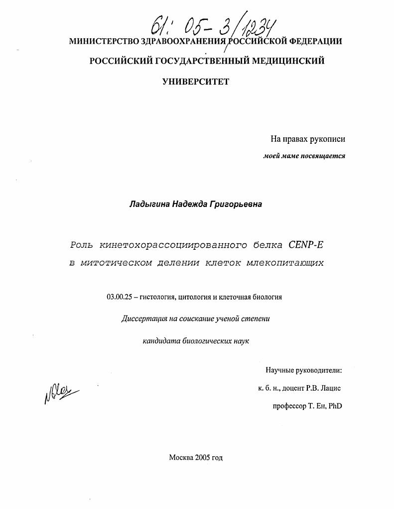 Роль кинетохорассоциированного белка CENP-E в митотическом делении клеток млекопитающих