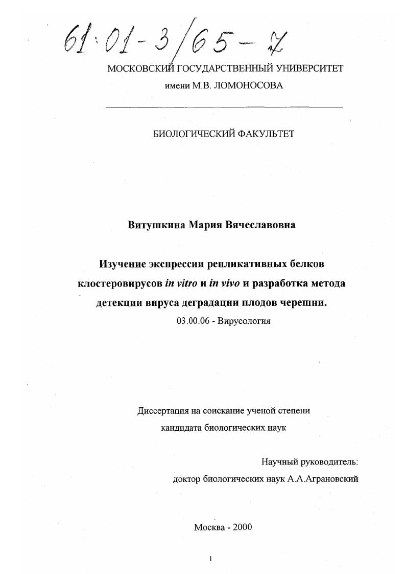 Изучение экспрессии репликативных белков клостеровирусов in vitro и in vivo и разработка метода детекции вируса деградации плодов черешни
