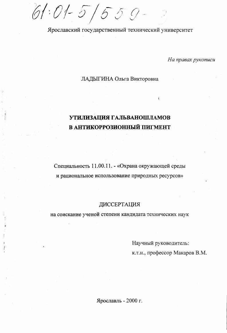 Утилизация гальваношламов в антикоррозионный пигмент