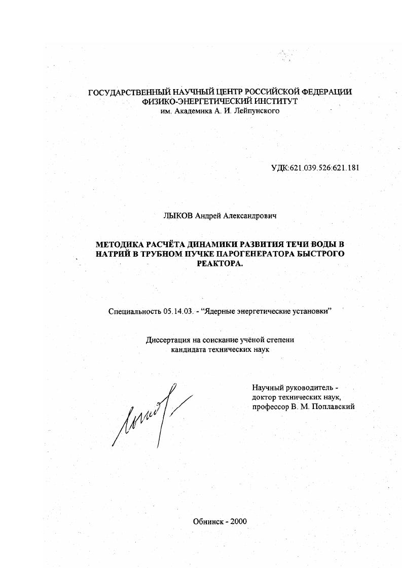 Методика расчета динамики развития течи воды в натрий в трубном пучке парогенератора быстрого реактора