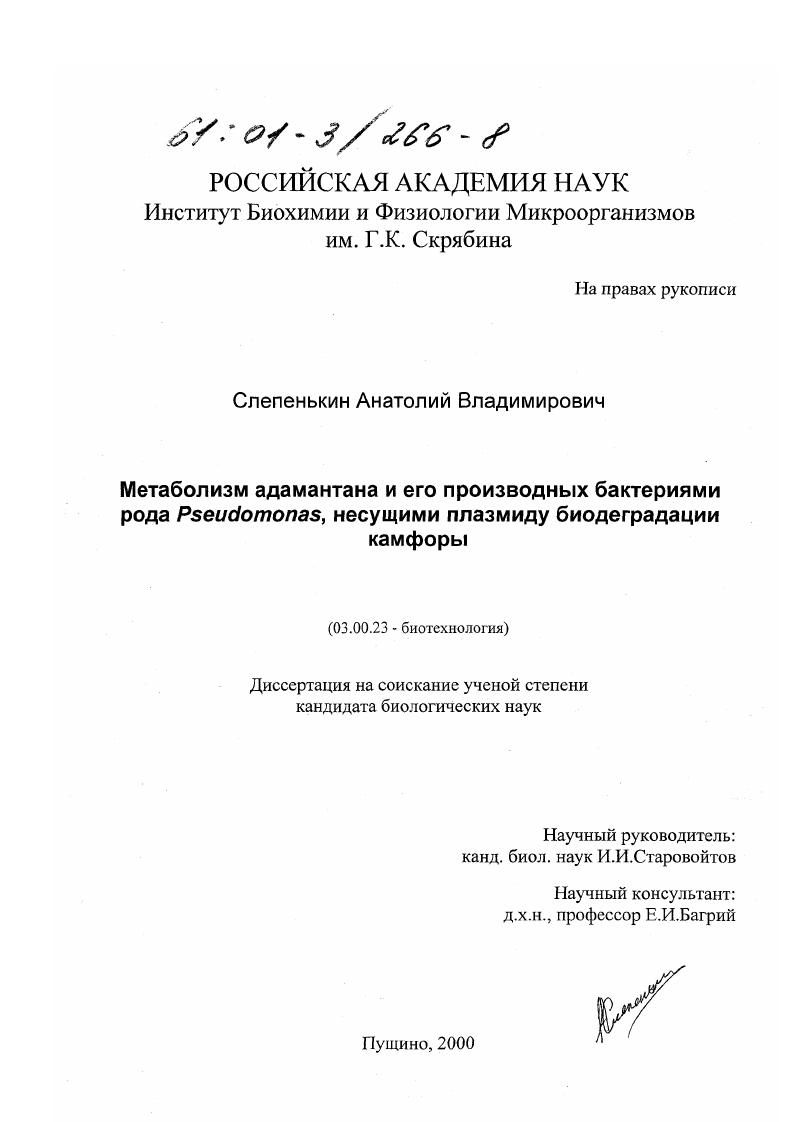 Метаболизм адамантана и его производных бактериями рода Pseudomonas, несущими плазмиду биодеградации камфоры