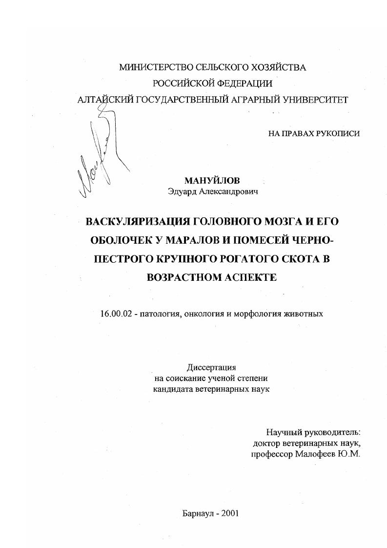 Васкуляризация головного мозга и его оболочек у маралов и помесей черно-пестрого крупного рогатого скота в возрастном аспекте