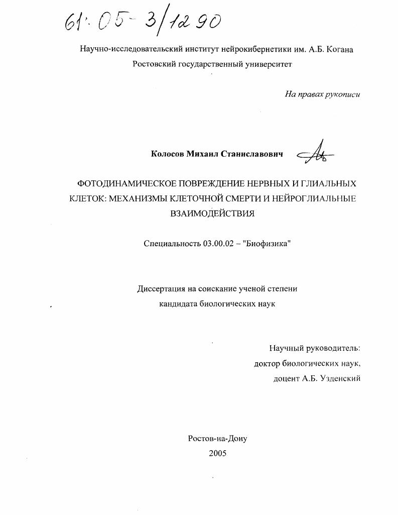 Фотодинамическое повреждение нервных и глиальных клеток: механизмы клеточной смерти и нейроглиальные взаимодействия