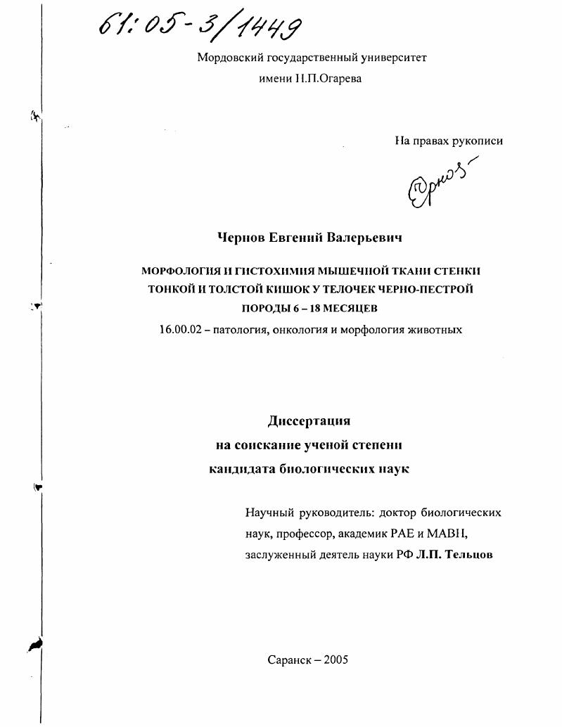 Морфология и гистохимия мышечной ткани стенки тонкой и толстой кишок у телочек черно-пестрой породы 6-18 месяцев