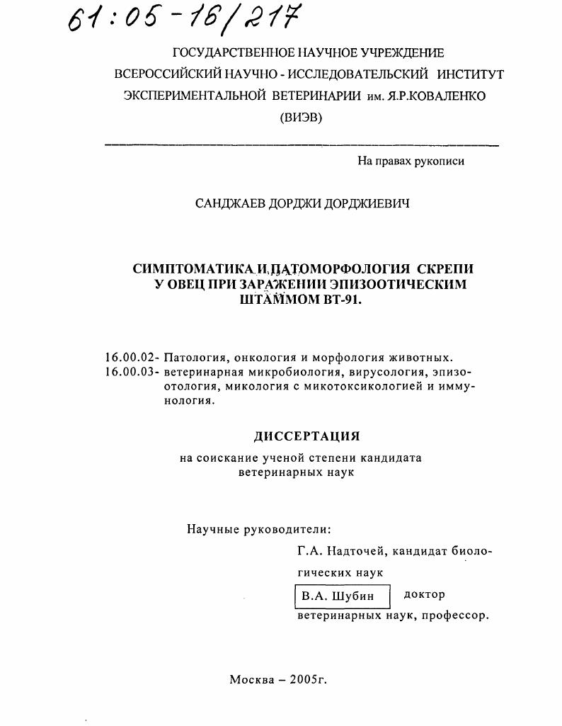 Симптоматика и патоморфология скрепи у овец при заражении эпизоотическим штаммом ВТ-91