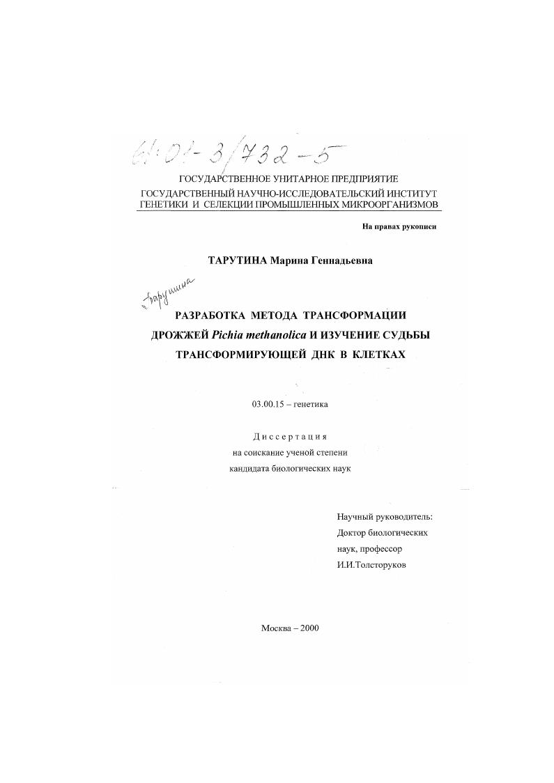 скачать диссертацию Разработка метода трансформации дрожжей Pichia methanolica и изучение судьбы трансформирующей ДНК в клетках Разработка метода трансформации дрожжей Pichia methanolica и изучение судьбы трансформирующей ДНК в клетках