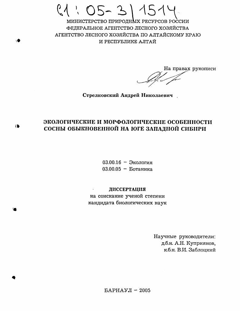 Экологические и морфологические особенности сосны обыкновенной на юге Западной Сибири