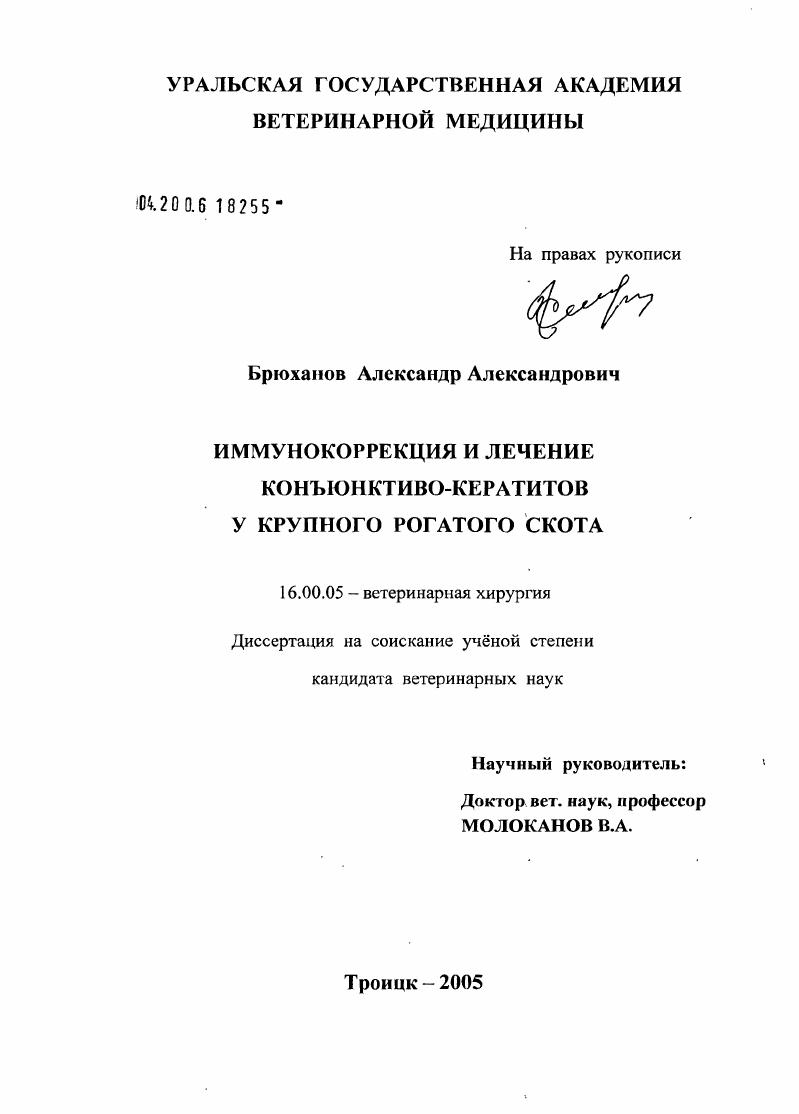 Иммунокоррекция и лечение конъюнктиво-кератитов у крупного рогатого скота