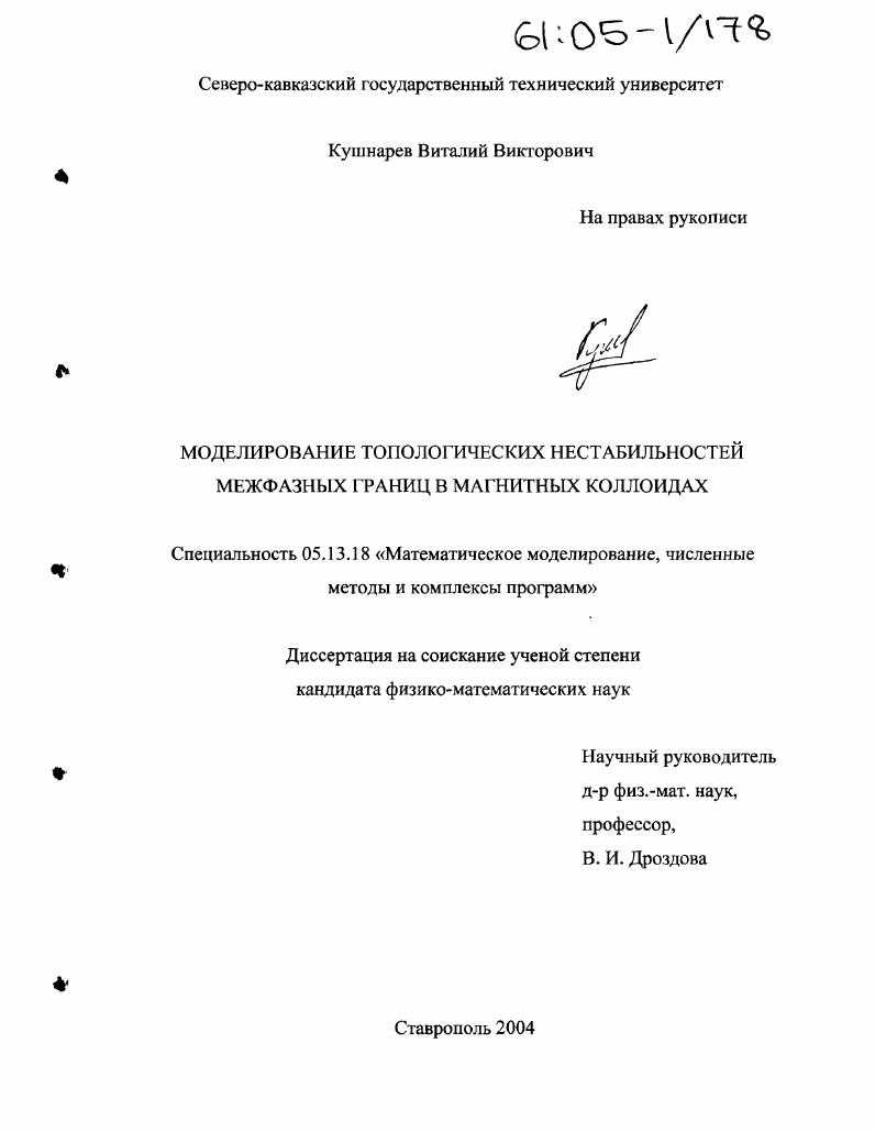 скачать диссертацию Моделирование топологических нестабильностей межфазных границ в магнитных коллоидах Моделирование топологических нестабильностей межфазных границ в магнитных коллоидах