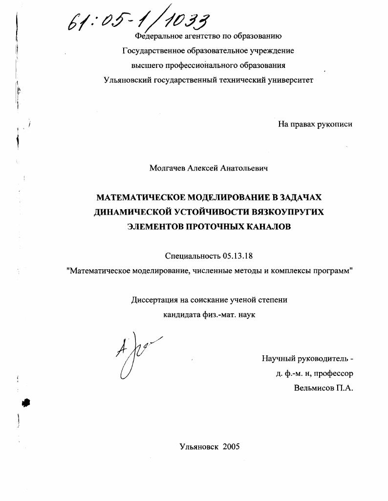 Математическое моделирование в задачах динамической устойчивости вязкоупругих элементов проточных каналов
