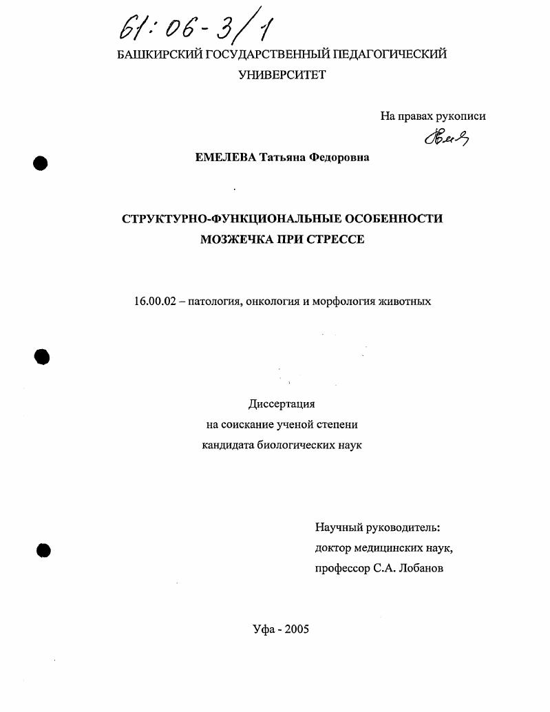 Структурно-функциональные особенности мозжечка при стрессе