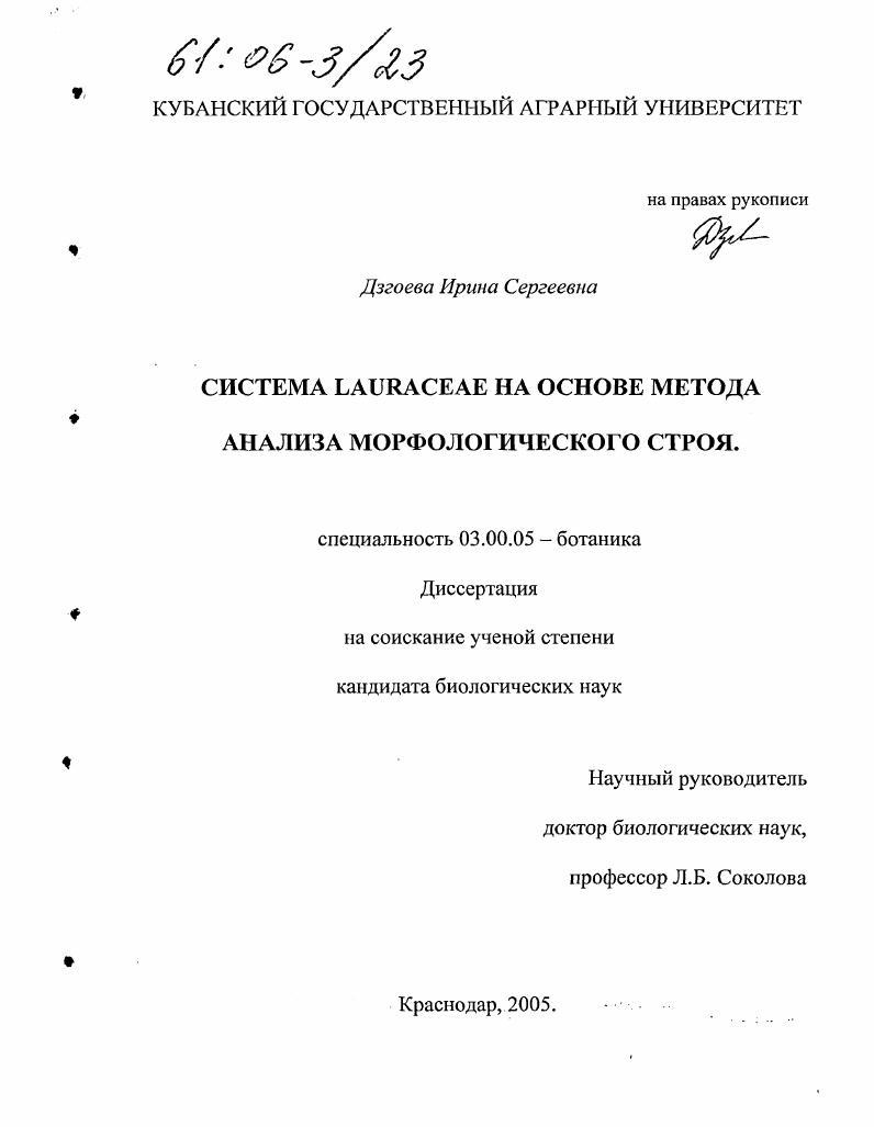 скачать диссертацию Система Lauraceae на основе метода анализа морфологического строя Система Lauraceae на основе метода анализа морфологического строя