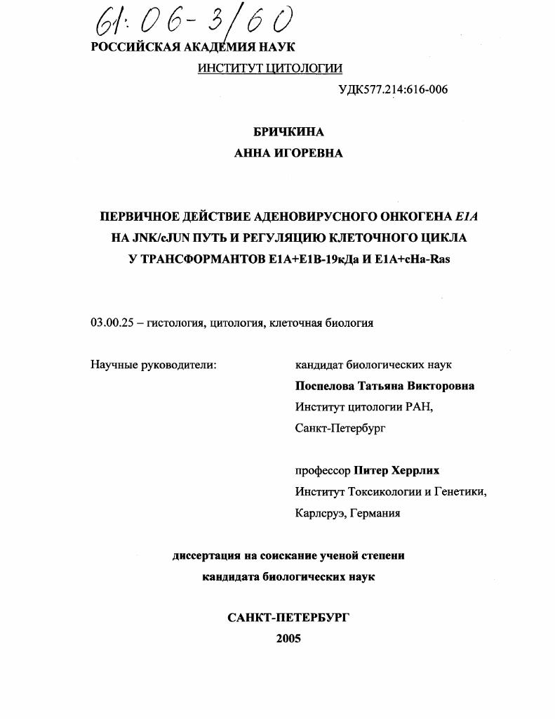 Первичное действие аденовирусного онкогена E1A на JNK/cJUN путь и регуляцию клеточного цикла у трансформантов E1A+E1B-19кДа и E1A+cHa-Ras