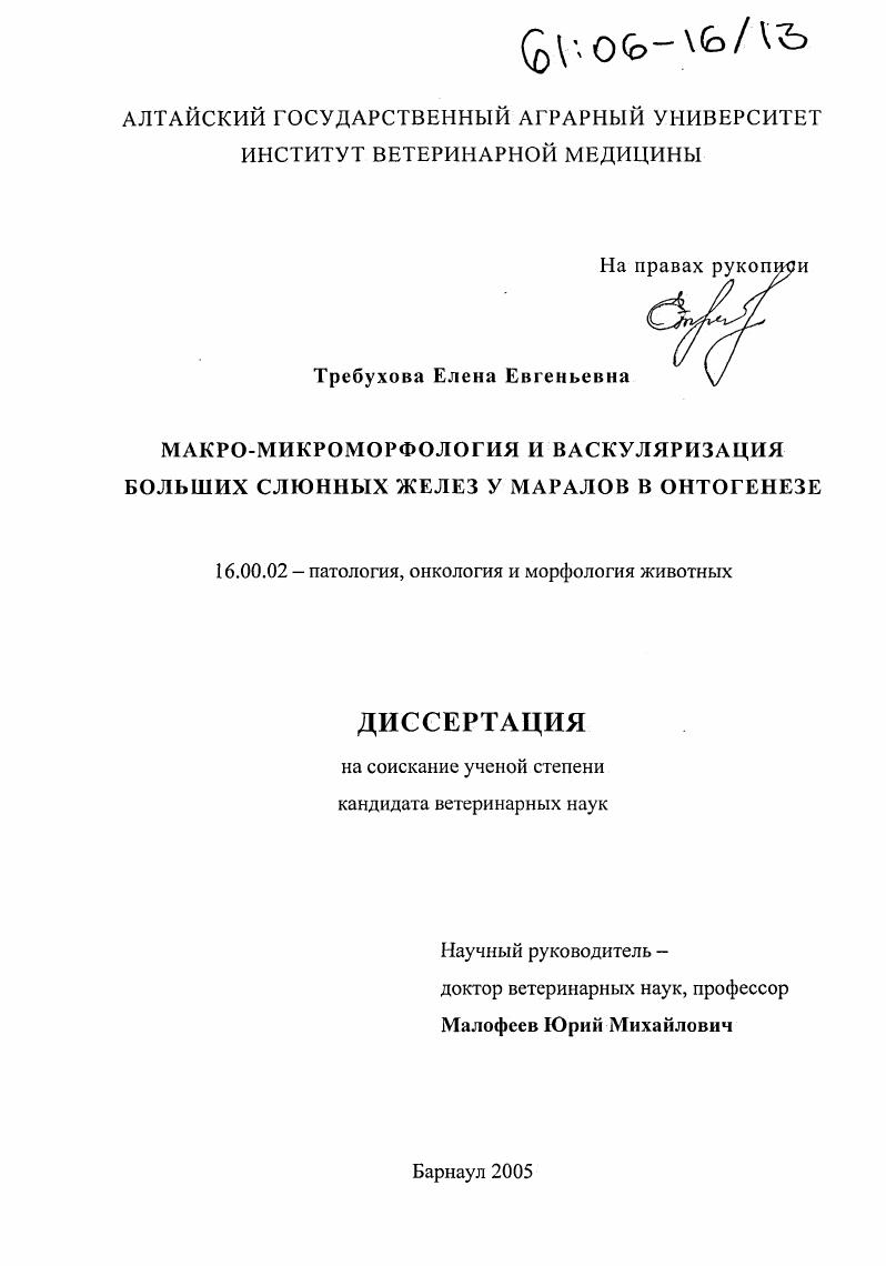 Макро-микроморфология и васкуляризация больших слюнных желез у маралов в онтогенезе