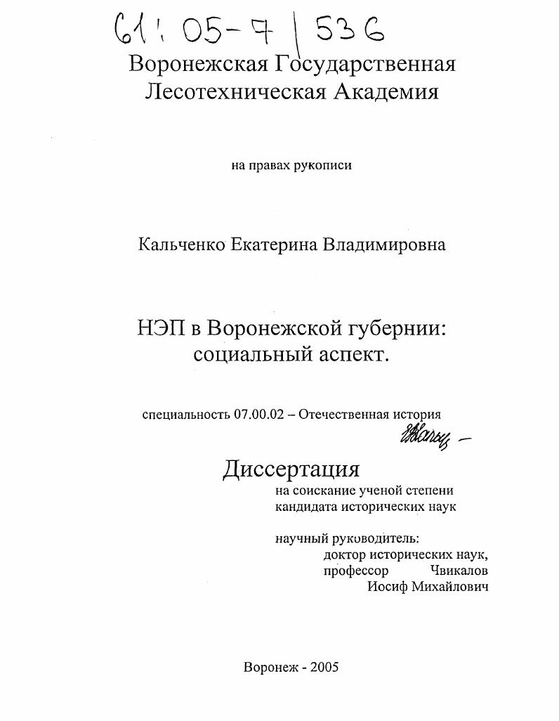скачать диссертацию НЭП в Воронежской губернии: социальный аспект НЭП в Воронежской губернии: социальный аспект