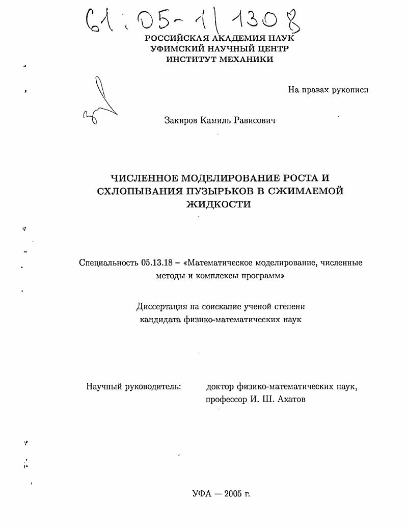 скачать диссертацию Численное моделирование роста и схлопывания пузырьков в сжимаемой жидкости Численное моделирование роста и схлопывания пузырьков в сжимаемой жидкости