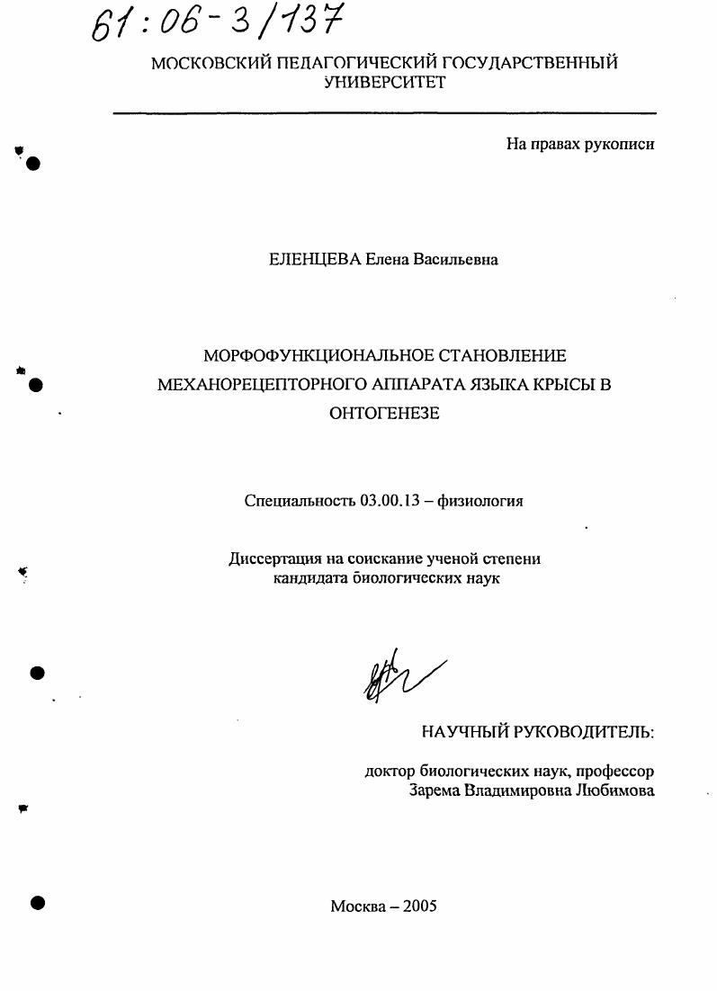 скачать диссертацию Морфофункциональное становление механорецепторного аппарата языка крысы в онтогенезе Морфофункциональное становление механорецепторного аппарата языка крысы в онтогенезе