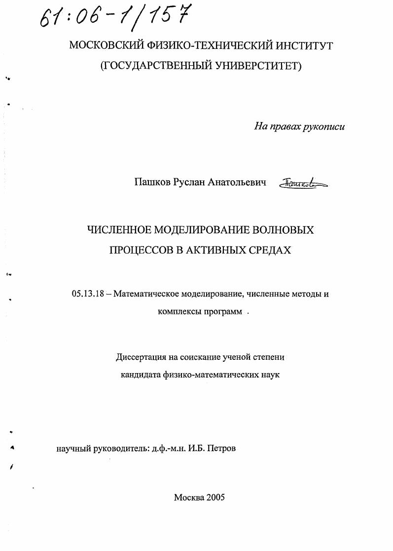 Численное моделирование волновых процессов в активных средах