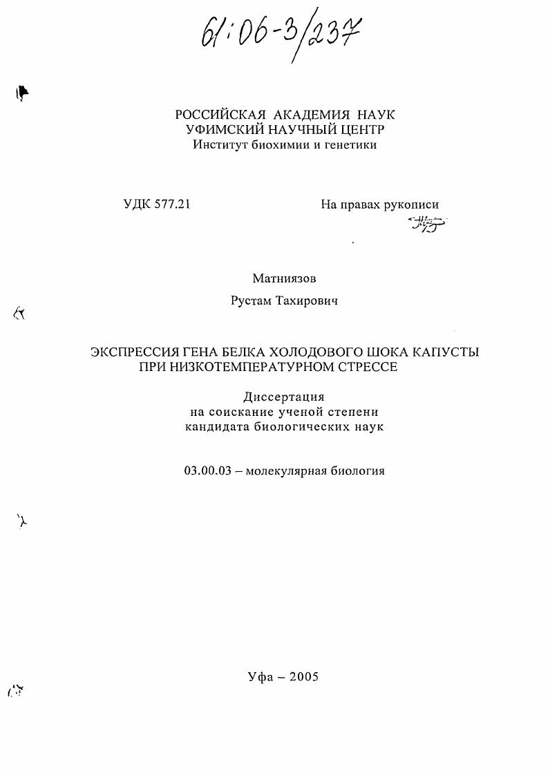 Экспрессия гена белка холодового шока капусты при низкотемпературном стрессе