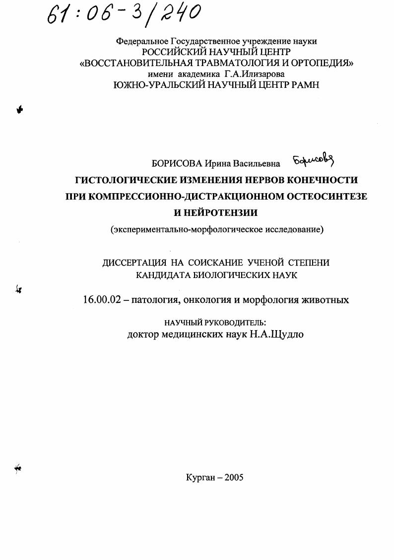 Гистологические изменения нервов конечности при компрессионно-дистракционном остеосинтезе и нейротензии : Экспериментально-морфологическое исследование