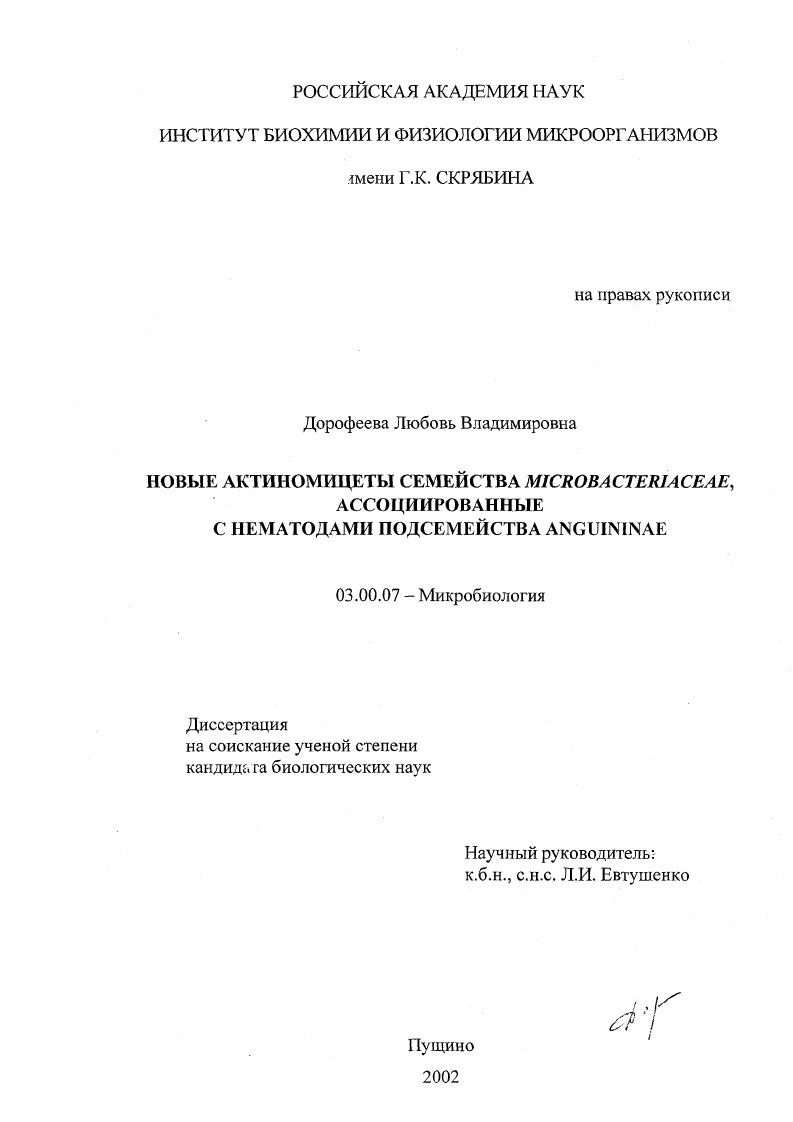 скачать диссертацию Новые актиномицеты семейства Microbacteriaceae, ассоциированные с нематодами подсемейства Anguininae Новые актиномицеты семейства Microbacteriaceae, ассоциированные с нематодами подсемейства Anguininae