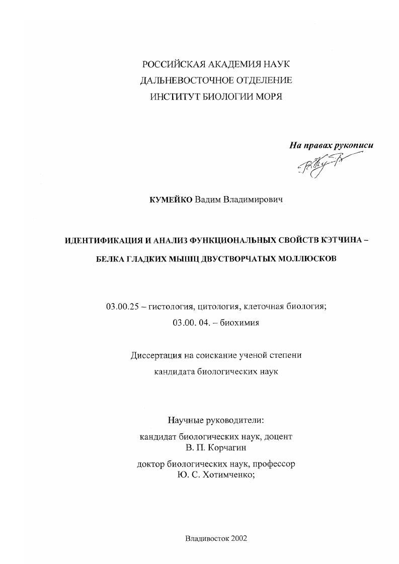 Идентификация и анализ функциональных свойств кэтчина-белка гладких мышц двустворчатых моллюсков