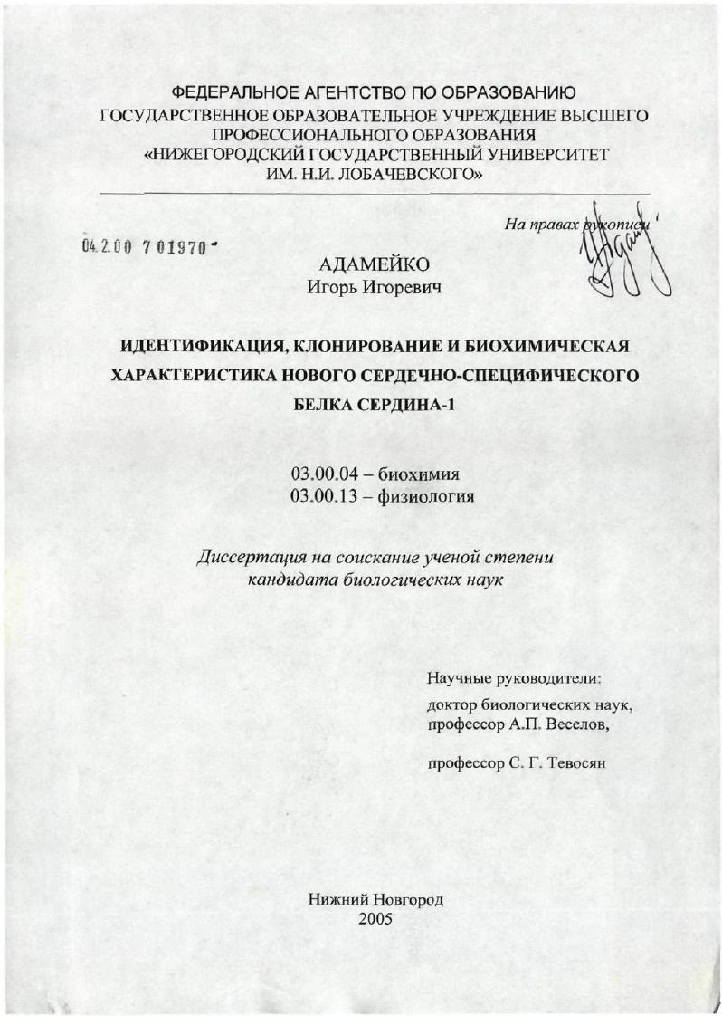 скачать диссертацию Идентификация, клонирование и биохимическая характеристика нового сердечно-специфического белка Сердина-1 Идентификация, клонирование и биохимическая характеристика нового сердечно-специфического белка Сердина-1