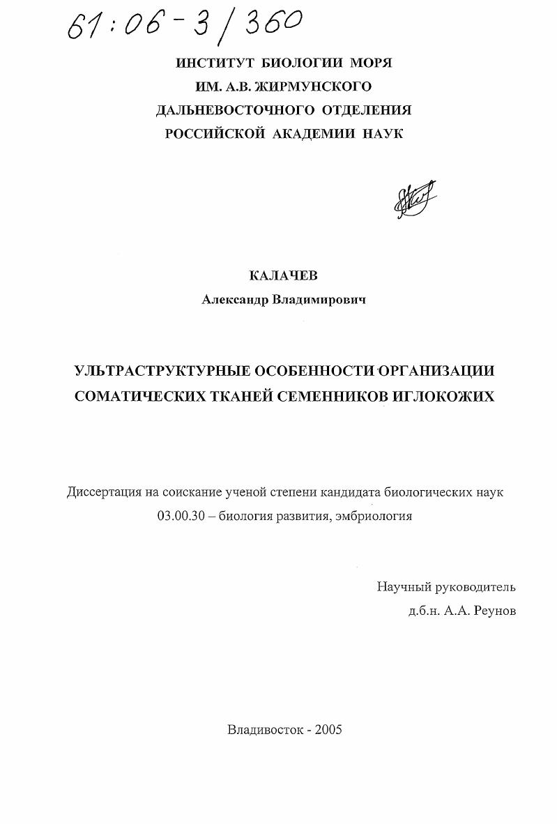 Ультраструктурные особенности организации соматических тканей семенников иглокожих
