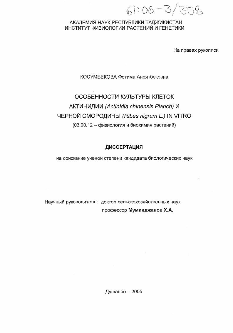 Особенности культуры клеток актинидии (Actinidia chinesis Planch) и черной смородины (Ribes nigrum L.) in vitro