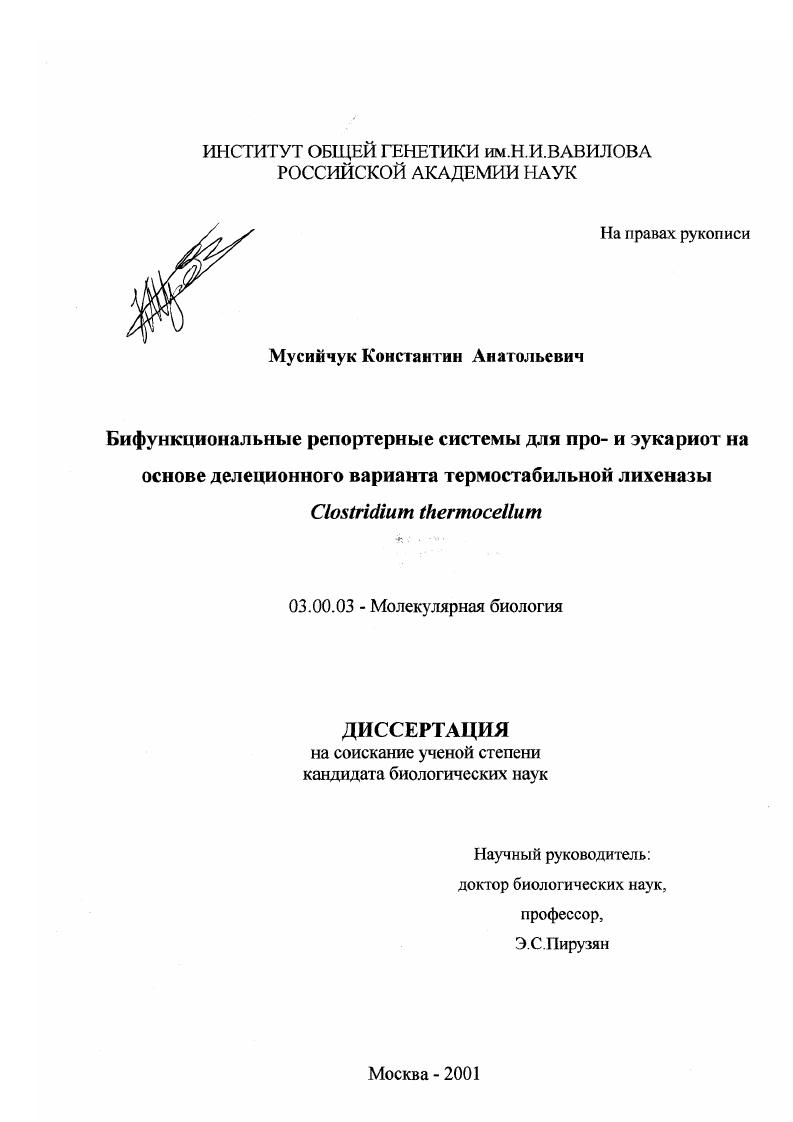 Бифункциональные репортерные системы для про- и эукариот на основе делеционного варианта термостабильной лихеназы Clostridium thermocellum