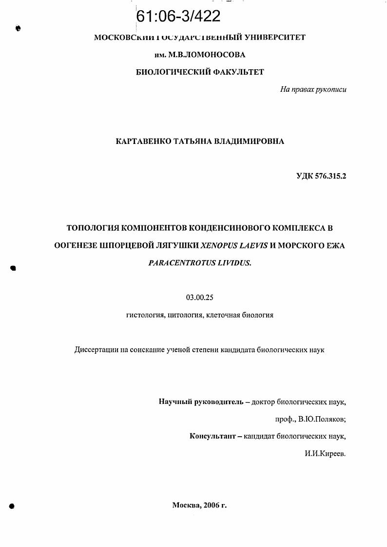 Топология компонентов конденсинового комплекса в оогенезе шпорцевой лягушки Xenopus Laevis и морского ежа Paracentrotus Lividus