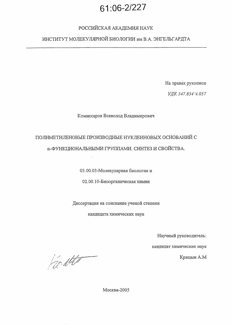 Полиметиленовые производные нуклеиновых оснований с φ-функциональными группами. Синтез и свойства