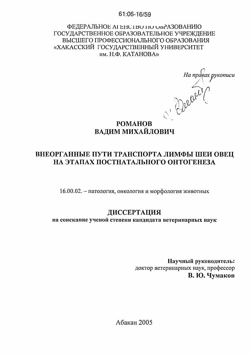 Внеорганные пути транспорта лимфы шеи овец на этапах постнатального онтогенеза