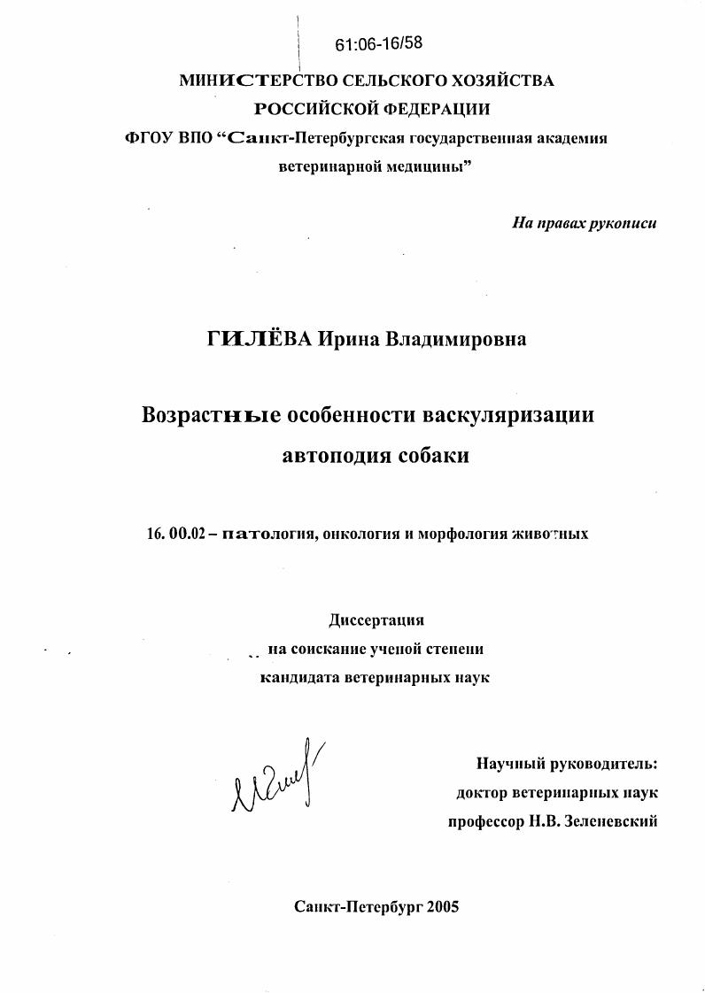 Возрастные особенности васкуляризации автоподия собаки