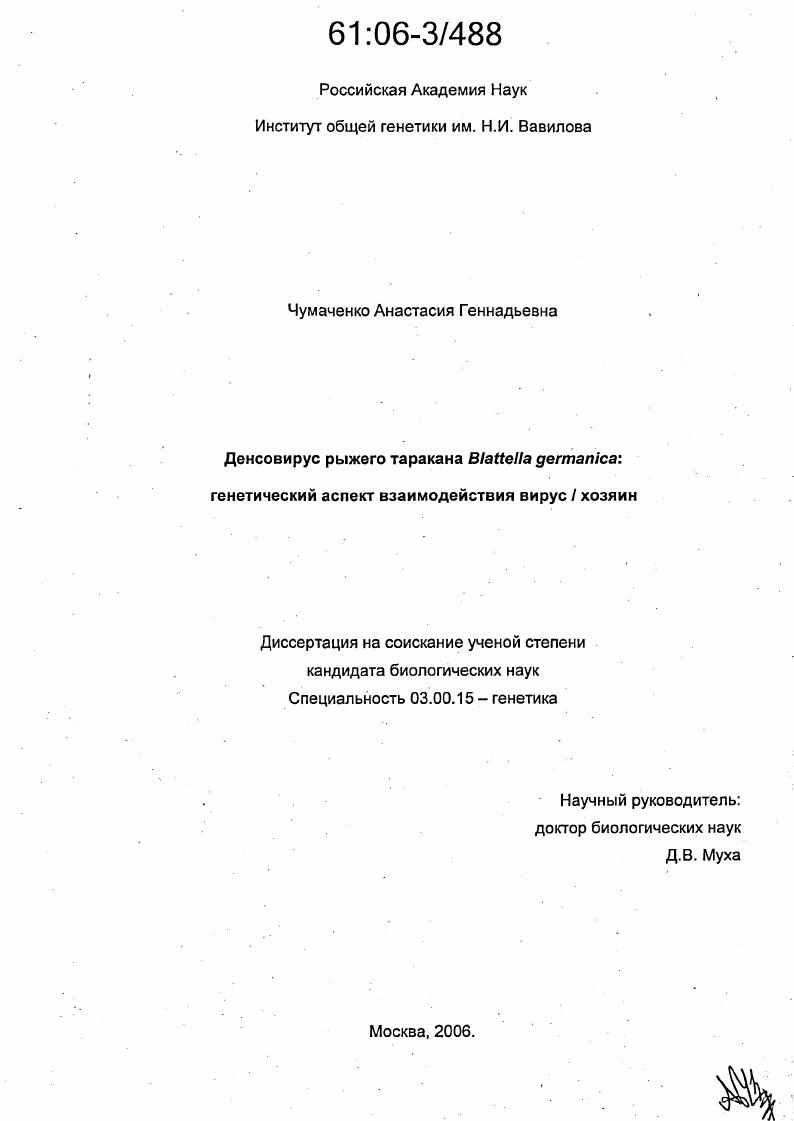 Денсовирус рыжего таракана Blattella germanica : Генетический аспект взаимодействия вирус / хозяин