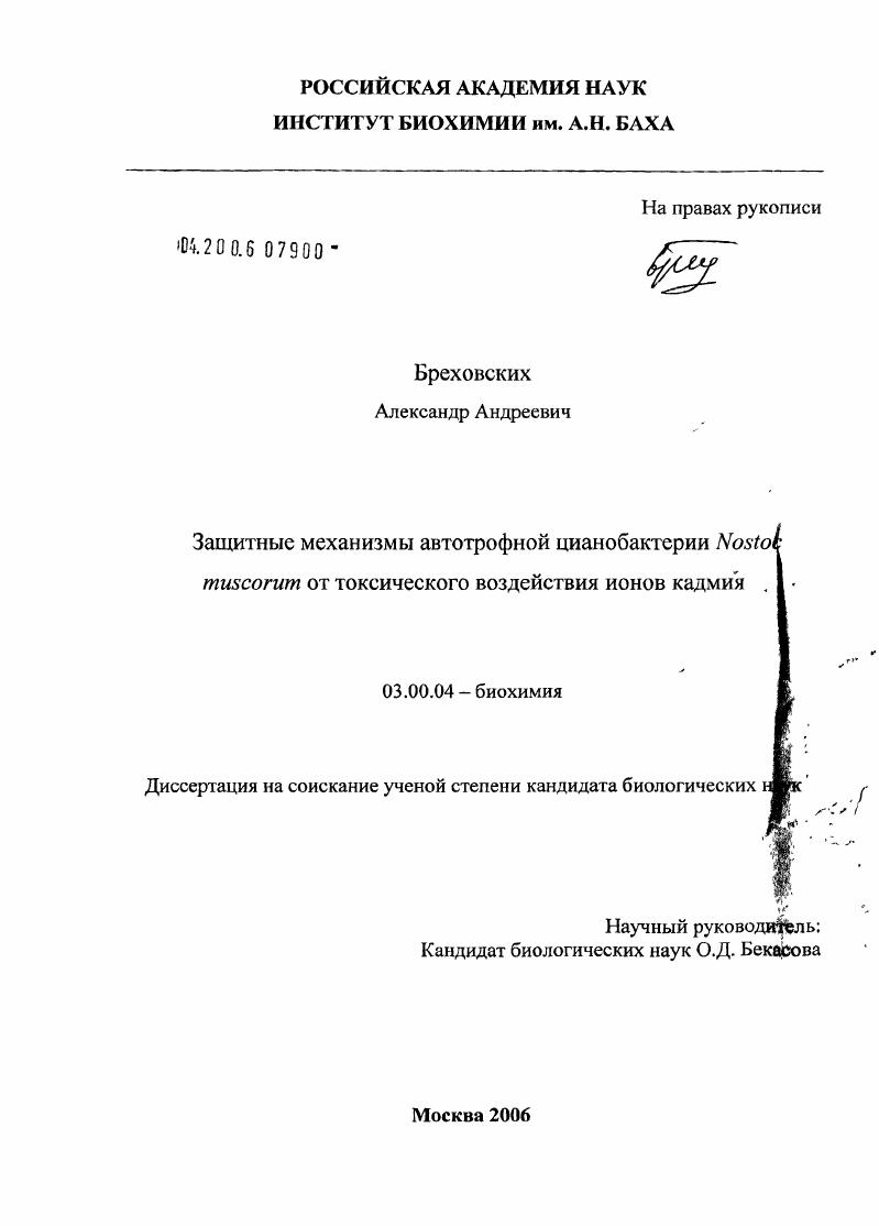 Защитные механизмы автотрофной цианобактерии Nostoc muscorum от токсического воздействия ионов кадмия