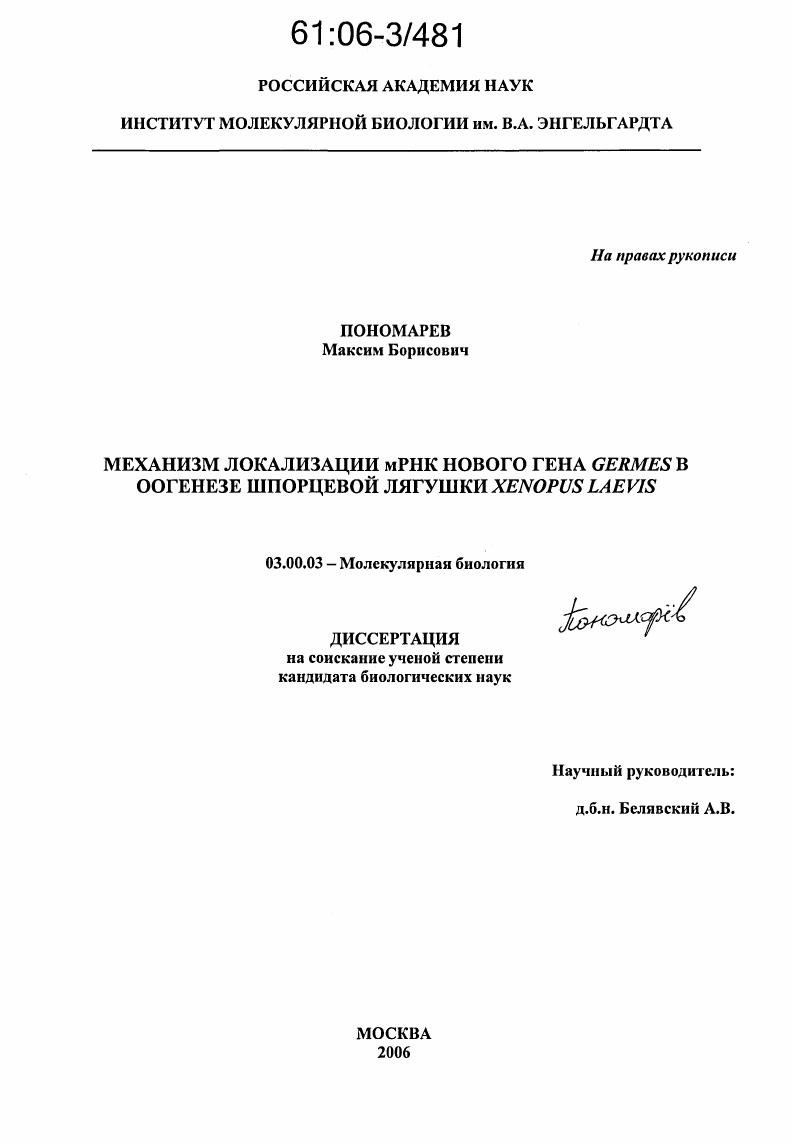 Механизм локализации мРНК нового гена Germes в оогенезе шпорцевой лягушки Xenopus laevis