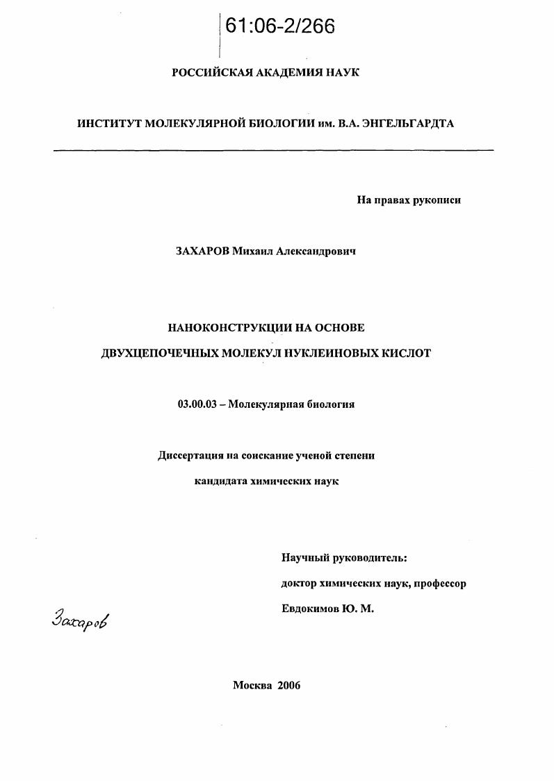Наноконструкции на основе двухцепочечных молекул нуклеиновых кислот