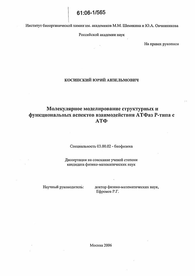 Молекулярное моделирование структурных и функциональных аспектов взаимодействия АТФаз Р-типа с АТФ