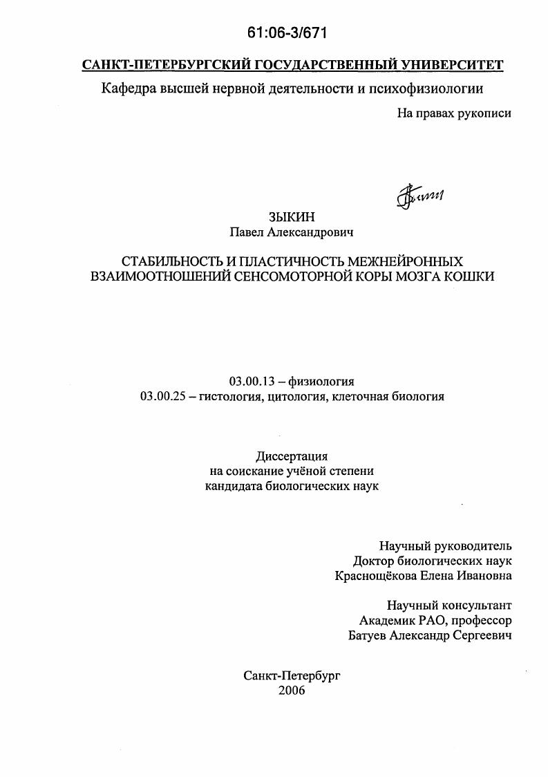 Стабильность и пластичность межнейронных взаимоотношений сенсомоторной коры мозга кошки